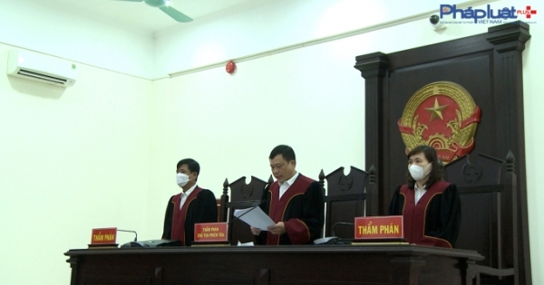 Những phán quyết khó hiểu của TAND tỉnh Ninh Bình