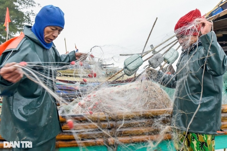 Ngư dân cho biết, sản lượng hải sản mấy năm nay giảm nhiều.