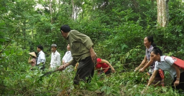 Nghệ An: Thu hồi hơn 7.000 ha đất của nông, lâm trường giao địa phương quản lý
