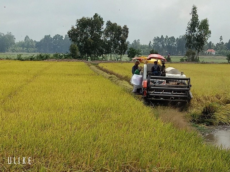 Đồng bằng sông Cửu Long chuyển đổi số trong nông nghiệp góp phần nâng cao giá trị và phát triển bền vững