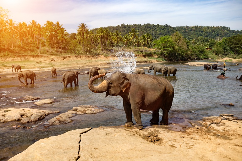 Sri Lanka với cảnh quan thiên nhiên hoang sơ được ví là