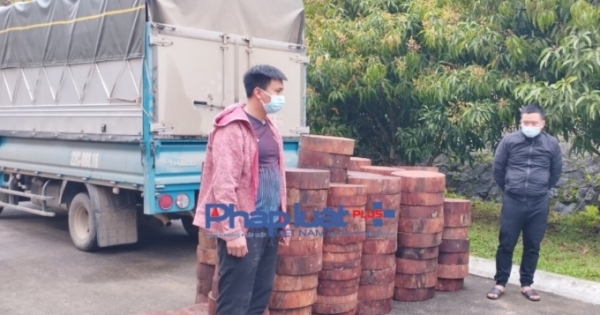 Tuyên Quang: Công an huyện Lâm Bình bắt giữ xe chở gỗ nghiến chuẩn bị vượt trạm kiểm lâm