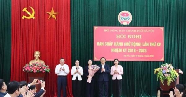 Bà Lê Thị Thanh Nhàn giữ chức Phó Chủ tịch Hội Nông dân TP Hà Nội