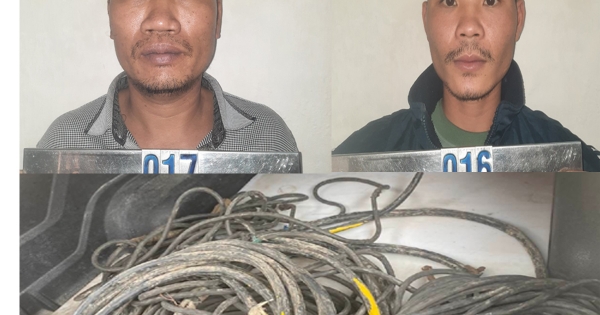 Công an Thanh Hoá bắt 2 đối tượng trộm cắp dây cáp điện tại nhà máy xi măng Long Sơn
