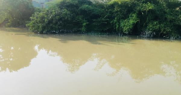 Đồng Nai: Xử phạt doanh nghiệp xả thải gây ô nhiễm dòng sông Buông
