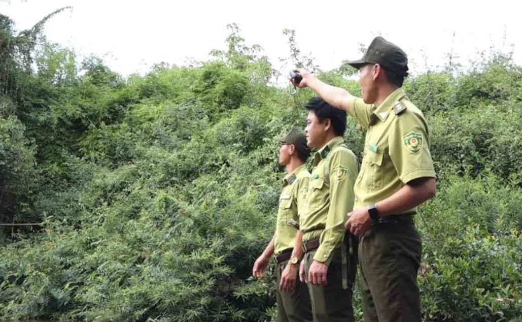 Lực lượng Kiểm lâm tuần tra bảo vệ rừng Đồng Nai