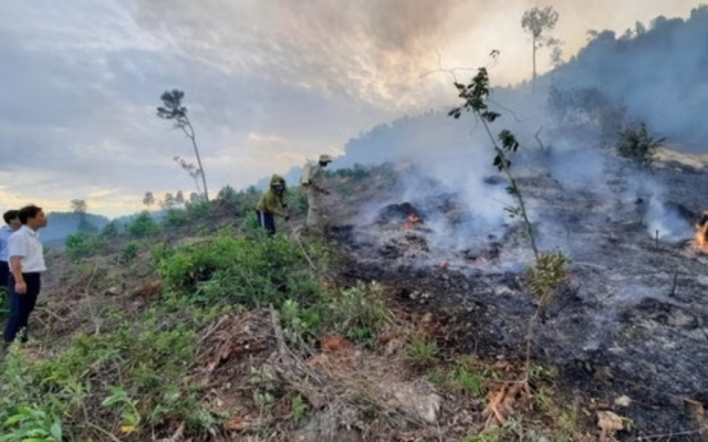 Kon Tum: Cháy rừng ở Sa Thầy khiến 2 cán bộ trồng rừng tử vong
