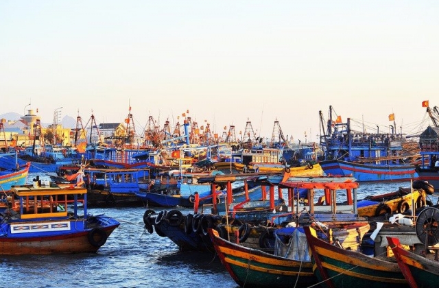 Thành lập Ban Quản lý cảng cá Thanh Hóa