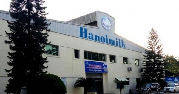 Hanoimilk bị xử phạt 200 triệu đồng do công bố thông tin sai lệch