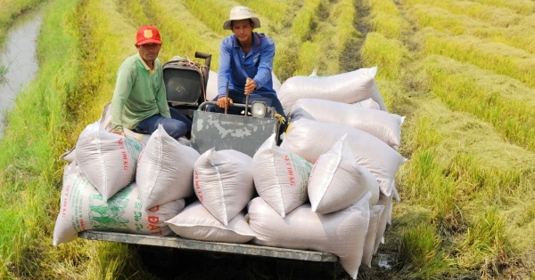 Indonesia nhập khẩu 2 triệu tấn gạo, doanh nghiệp xuất khẩu gạo nào của Việt Nam được hưởng lợi?