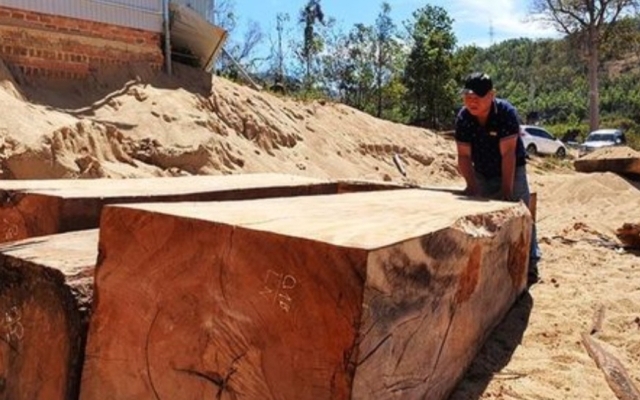 Thông tin mới nhất vụ gỗ trái phép tập kết tại bãi chứa cát ở huyện Đăk Hà