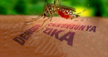 Nóng: Xác định 2 trường hợp mắc Vi-rút Zika đầu tiên tại Việt Nam