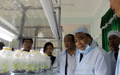 Ph&oacute; Thủ tướng Nguyễn Xu&acirc;n Ph&uacute;c thăm Trung t&acirc;m S&acirc;m Ngọc Linh, huyện Tr&agrave; My, Quảng Nam.