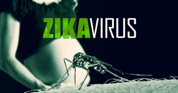 Tất cả điều mẹ bầu nên biết về virus Zika