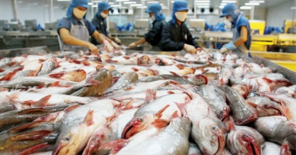 Xuất khẩu thực phẩm Việt sang Mỹ "đuối" vì sao
