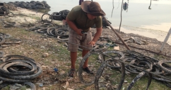 Nuôi hàu bằng lốp xe cũ ở Vịnh Lăng Cô: “Hiểm họa khôn lường”