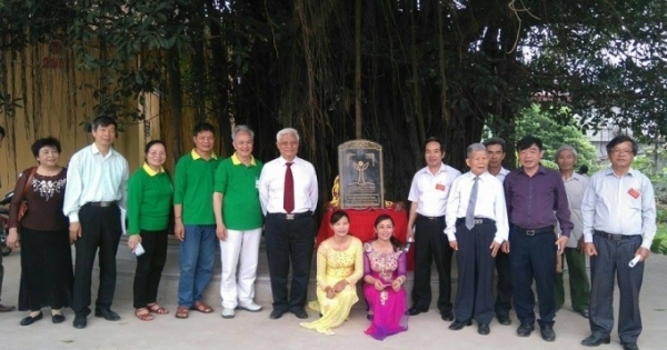 Nam Định: Cây Đa 450 tuổi được công nhận Cây di sản Việt Nam