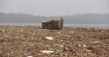 Nghệ An: Bãi biển thành... bãi rác
