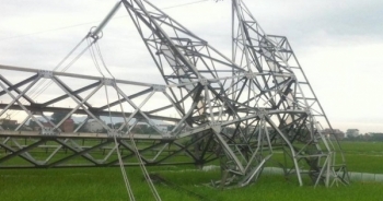Bắc Giang: Thực hư thông tin bò kéo đổ cột điện 500 Kv