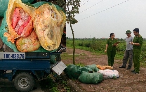 Nam Định: Bắt giữ xe tải chở 600kg nội tạng không rõ nguồn gốc