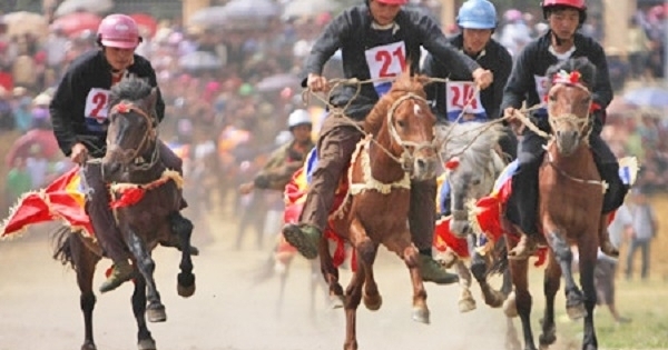 Lào Cai: Tháng 6 sẽ diễn ra Giải đua ngựa truyền thống tại Bắc Hà