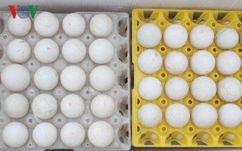 To&agrave;n bộ 100 th&ugrave;ng trứng g&agrave; c&oacute; tổng số 24.000 quả trứng (Ảnh: Vi Thu)