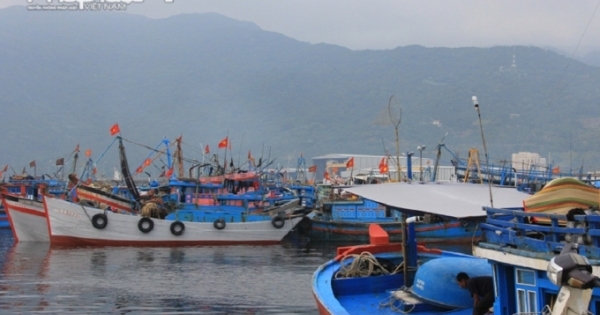 Đà Nẵng: Xử lý vấn đề môi trường tại Âu thuyền và Cảng cá Thọ Quang