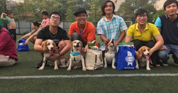 Lần đầu tiên có Câu lạc bộ giống chó Beagle ở Hà Nội