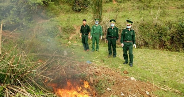 Quảng Ninh: Tiêu hủy 160kg gà không rõ nguồn gốc