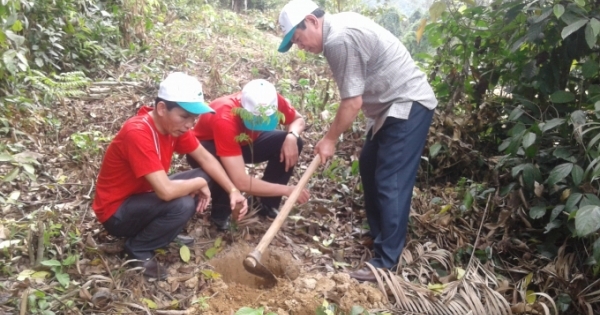 Hàng trăm tình nguyện viên trồng rừng “Vì một Việt Nam xanh”