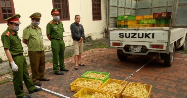 Bắc Giang: Thu giữ 4.500 con gia cầm nhập lậu từ Trung Quốc