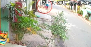 Clip: Hai thanh niên dùng súng điện trộm chó giữa ban ngày