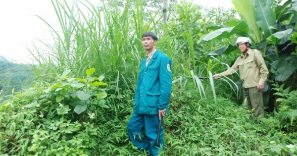 Yên Bái: Thanh niên 9x manh động giết người rồi bỏ trốn vào rừng sâu