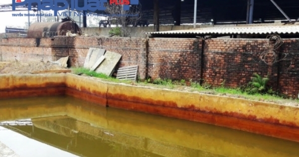 Quảng Nam: Phạt 94 triệu nhà máy kẽm xả nước thải khiến cá chết tại bàu Lệ Sơn
