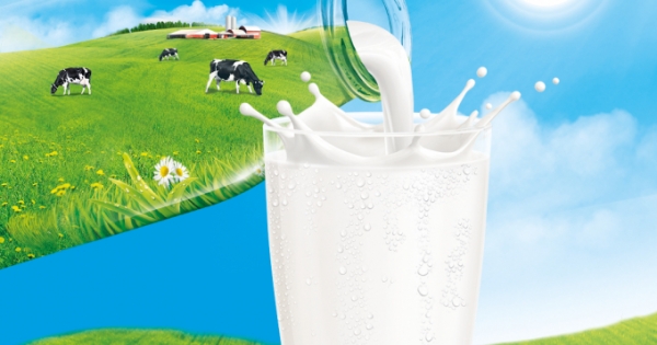 Những điều cần biết khi chọn mua sữa tươi