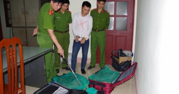 Hà Nam: Bắt giữ đối tượng vận chuyển 130kg rắn hổ mang