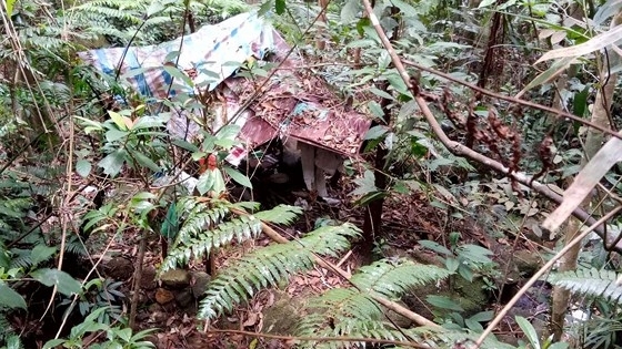 Lâm Đồng: Phát hiện thi thể nam thanh niên trong rừng
