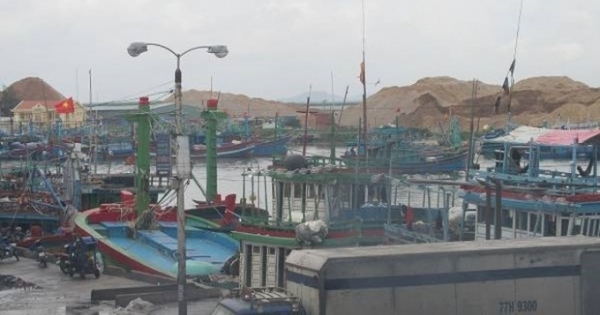 Bình Định: Công ty CP Tân Cảng Quy Nhơn bị 