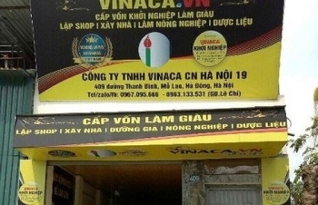 Vinaca từng nhận giải thưởng top 10 thương hiệu hàng đầu Việt Nam