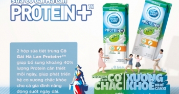 Cô gái Hà Lan ra mắt sữa tiệt trùng có đường Protein +TM    mới