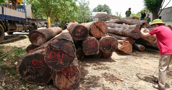 Bộ đội Biên phòng lên tiếng vụ Bộ Công an bắt trùm gỗ lậu Phượng “râu”