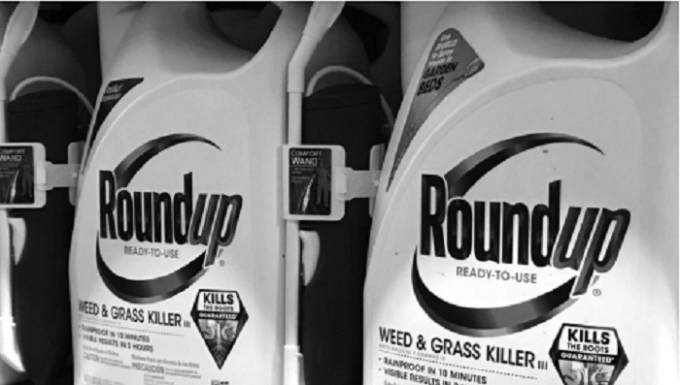 Chất diệt cỏ Roundup của tập đo&agrave;n Monsanto, được b&agrave;y b&aacute;n tại Encinitas, California, HoaKỳ, ng&agrave;y 26/06/2017.