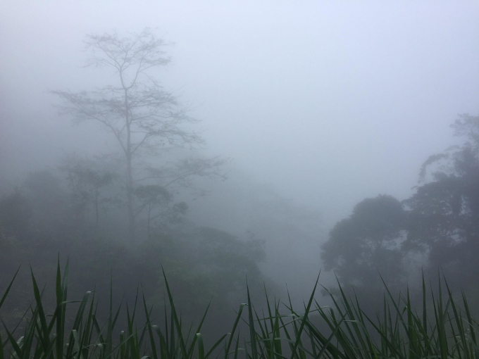 Cảnh sương m&ugrave; xế chiều v&ugrave;ng n&uacute;i Kỳ Sơn - Nghệ An