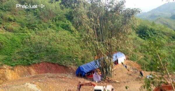 Tỉnh Hà Giang yêu cầu đình chỉ ngay dự án chăn nuôi lợn rừng "núp bóng" đào vàng