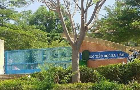 Giáo viên Tiểu học ở Đắk Lắk bị hành hung trước cổng trường