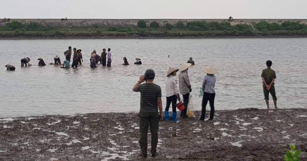 Chuyện lạ ở Nam Định: Hàng trăm người dân lao vào đánh bắt hải sản của một nông dân!