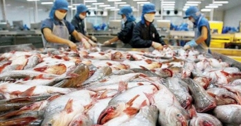 Mỹ bất ngờ đẩy mức thuế bán phá giá cá tra Việt Nam lên cao