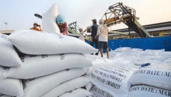 Cơ hội lớn cho DN xuất khẩu gạo Việt Nam sang Philippines