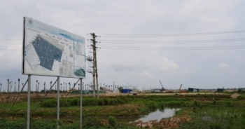 Hưng Yên: Xử phạt 3 doanh nghiệp san lấp đất trồng lúa trái phép