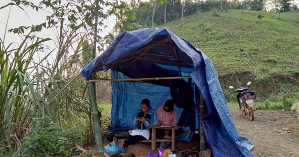 Xúc động hình ảnh nữ sinh dựng lều trên núi để học online ngày dịch